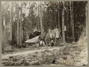 1864年のバージニア州ピーターズバーグの前でのブレイディの写真 作： Mathew B. Brady